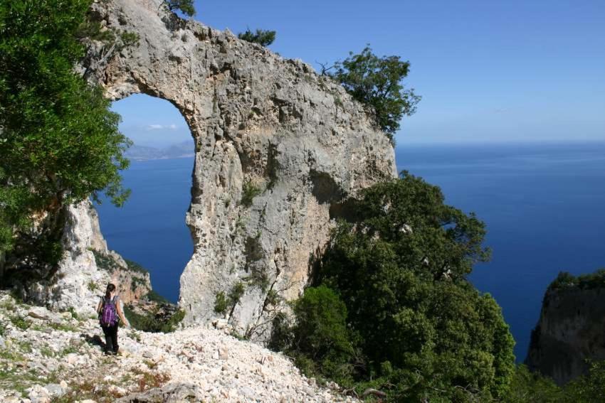 B&B Sa Clarera Baunei Dış mekan fotoğraf