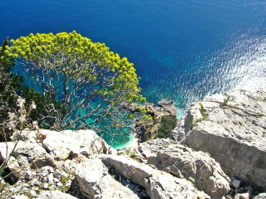 B&B Sa Clarera Baunei Dış mekan fotoğraf