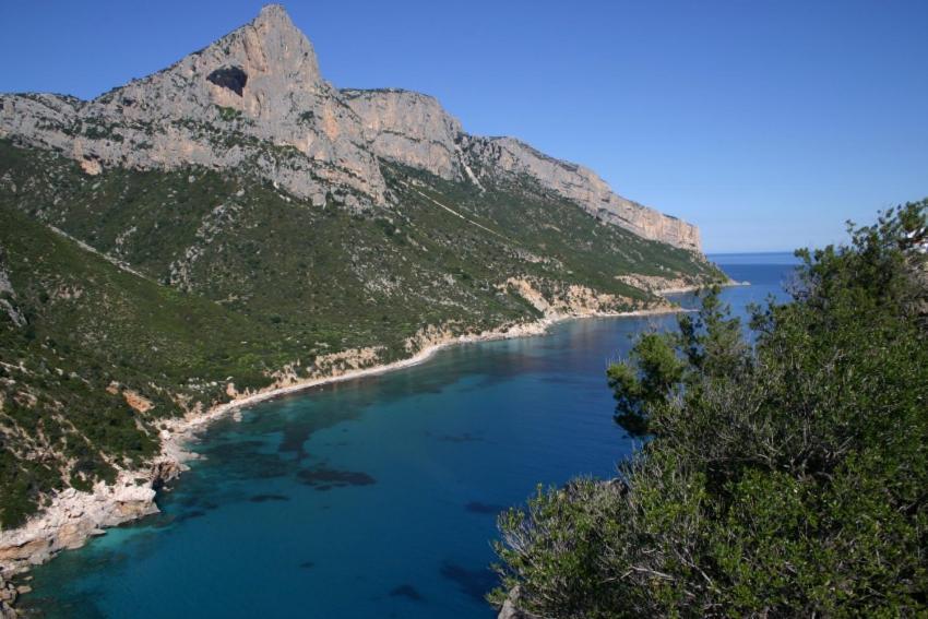 B&B Sa Clarera Baunei Dış mekan fotoğraf